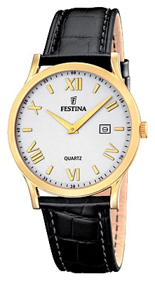 Festina F16395/1 pictures