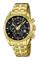 Wrist watch Festina for Men - picture, image, photo