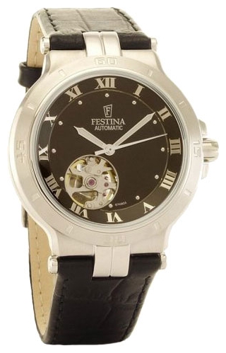 Wrist watch Festina for Men - picture, image, photo