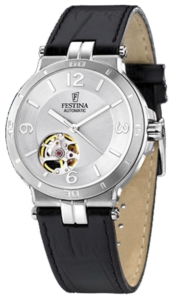 Wrist watch Festina for Men - picture, image, photo