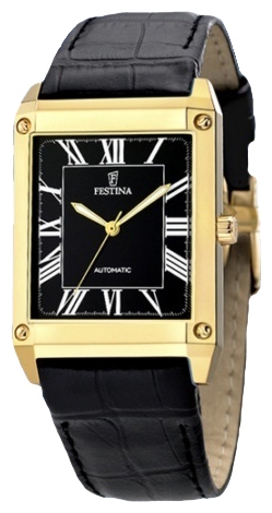 Festina F6752/5 wrist watches for men - 1 photo, image, picture