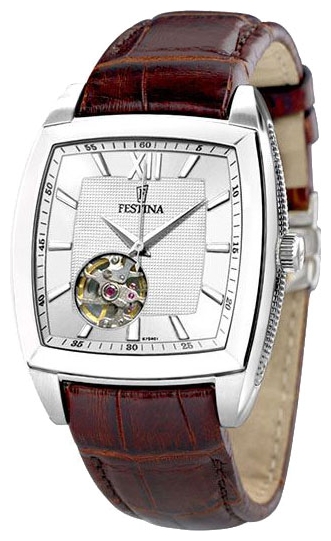 Wrist watch Festina for Men - picture, image, photo