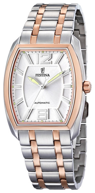 Festina F6756/D wrist watches for men - 1 picture, image, photo