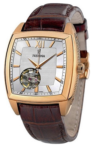 Festina F6799/1 wrist watches for men - 1 picture, image, photo