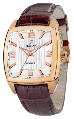 Wrist watch Festina for Men - picture, image, photo