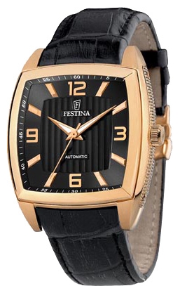 Wrist watch Festina for Men - picture, image, photo