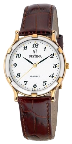 Wrist watch Festina for Men - picture, image, photo