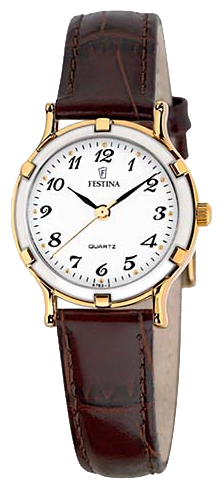 Festina F20002/C pictures