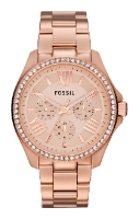 Fossil AM4504 pictures