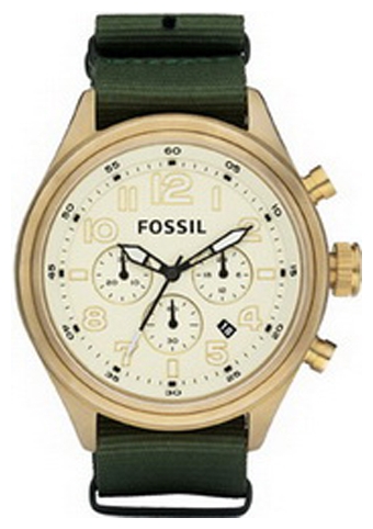 Fossil DE5001 wrist watches for men - 1 photo, picture, image