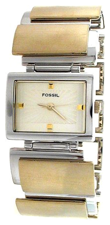 Wrist watch Fossil for Women - picture, image, photo