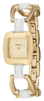 Fossil JR8829 pictures