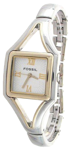 Fossil ES1983 pictures