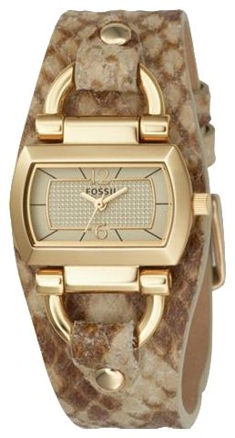 Fossil ES2519 pictures