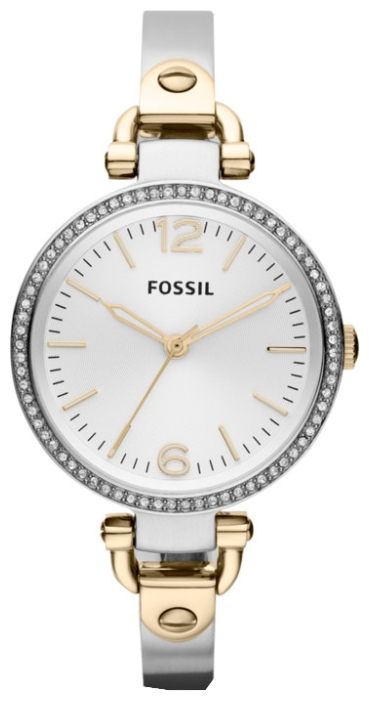 Fossil AM4487 pictures