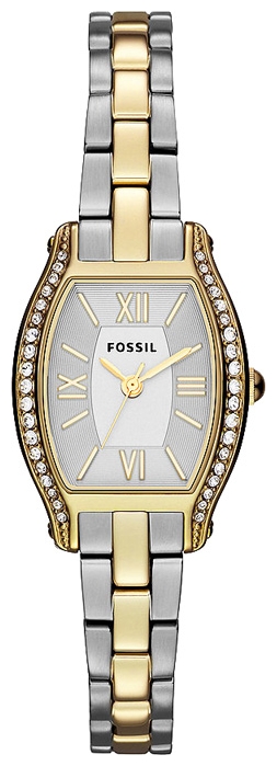 Fossil AM4338 pictures