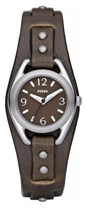 Fossil ES2520 pictures