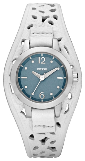 Fossil JR1259 wrist watches for women - 1 picture, image, photo