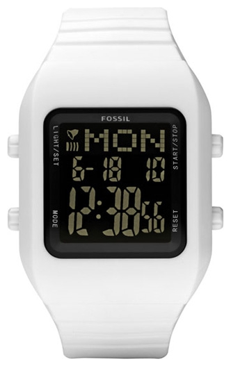 Fossil CH2694 pictures