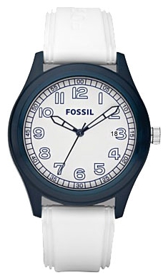 Fossil JR1297 wrist watches for men - 1 picture, photo, image