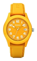 Wrist watch Fossil for Men - picture, image, photo