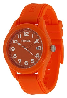 Wrist watch Fossil for Men - picture, image, photo