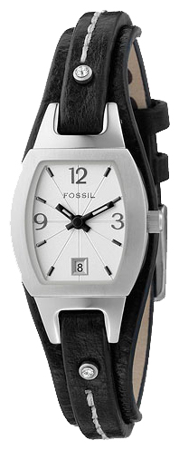 Fossil ES2216 pictures