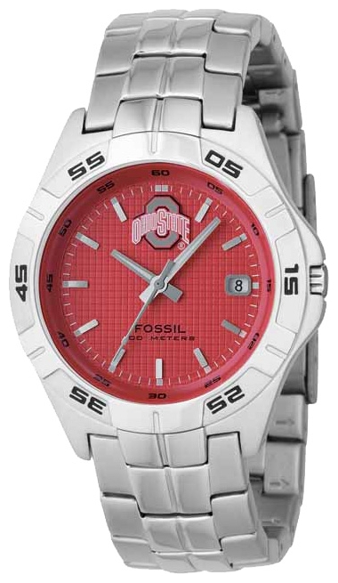 Fossil LI2745 wrist watches for men - 1 photo, picture, image