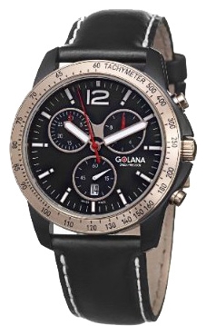Golana TE220-1 wrist watches for men - 1 picture, photo, image