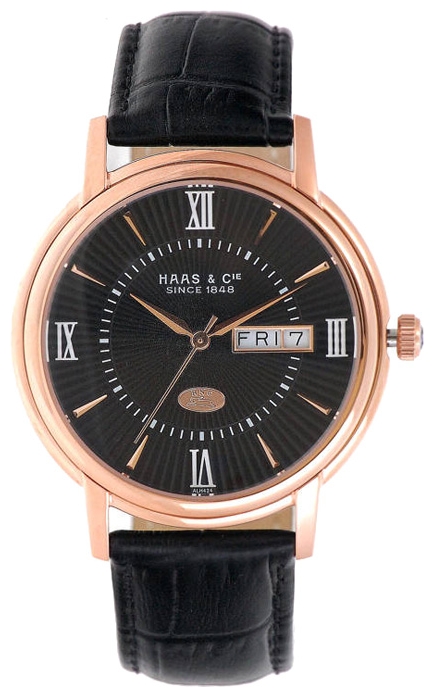 Haas ALH424LBA wrist watches for men - 1 photo, image, picture