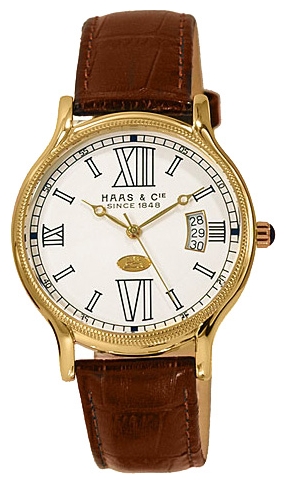 Haas BKH420XWA wrist watches for men - 1 image, picture, photo