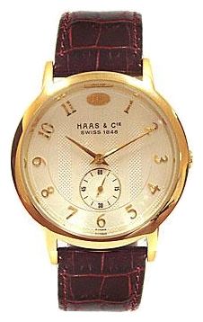 Haas FYH309XVA wrist watches for men - 1 photo, image, picture