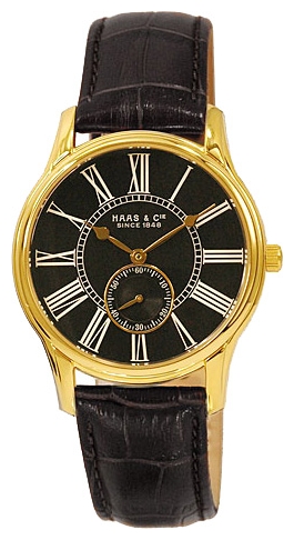 Haas FYH421XBA wrist watches for men - 1 image, photo, picture