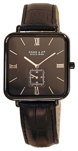 Haas FYH425WBA wrist watches for men - 1 image, photo, picture