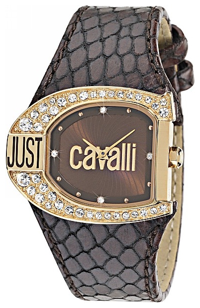 Wrist watch Just Cavalli for Women - picture, image, photo