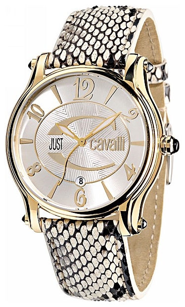 Wrist watch Just Cavalli for Women - picture, image, photo