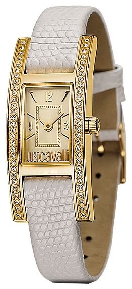 Wrist watch Just Cavalli for Women - picture, image, photo