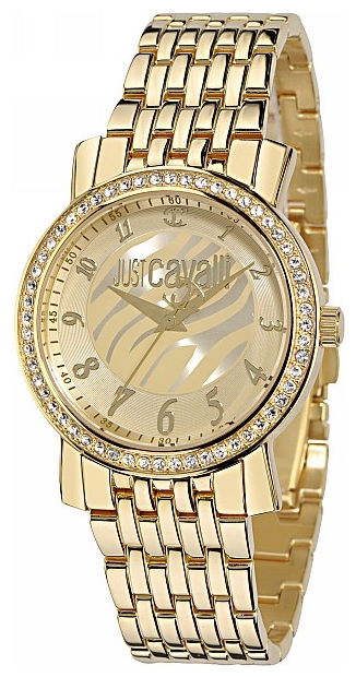 Wrist watch Just Cavalli for Women - picture, image, photo