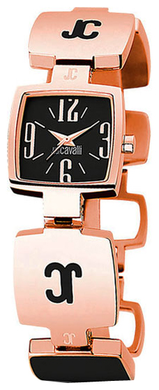 Wrist watch Just Cavalli for Women - picture, image, photo