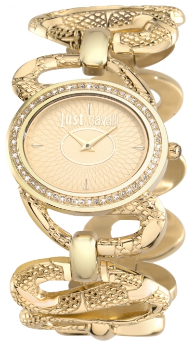 Just Cavalli 7253_577_501 wrist watches for women - 1 photo, picture, image