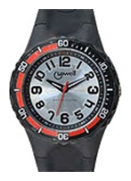 Lowell PA8000-01 wrist watches for men - 1 picture, photo, image