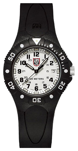 Luminox L-0107 wrist watches for men - 1 image, photo, picture