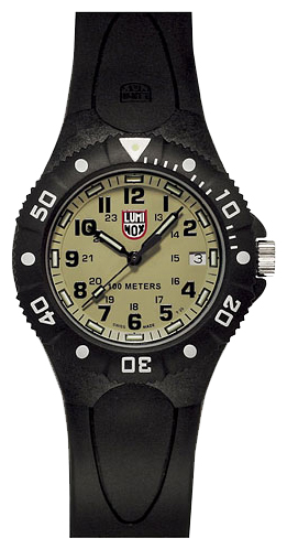Luminox L-0113 wrist watches for men - 1 photo, image, picture