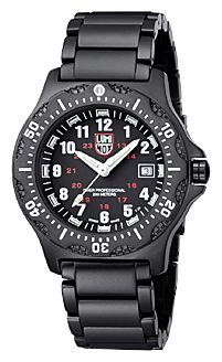 Luminox L-8402 wrist watches for men - 1 picture, image, photo