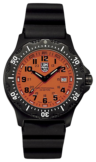 Luminox L-8409 wrist watches for men - 1 picture, image, photo