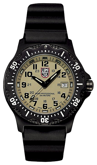 Luminox L-8413 wrist watches for men - 1 picture, photo, image
