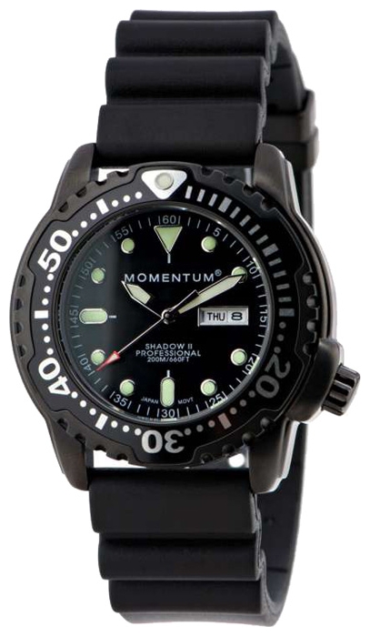 Momentum 1M-DV06BS1B pictures