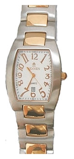 Nexxen NE1123M 2T/SIL wrist watches for men - 1 picture, photo, image