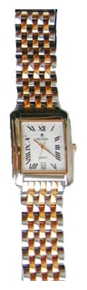 Nexxen NE2116M RC/SIL wrist watches for men - 1 picture, image, photo