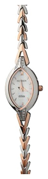 Nexxen NE5507CL RC/SIL wrist watches for women - 1 picture, photo, image